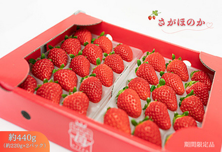 佐賀県産 いちご さがほのか フルーツ 果物 苺 220g×2P：B100-035