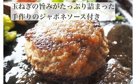 最高級佐賀牛合挽【空翔ぶハンバーグ】10個(ソース付):B335-007