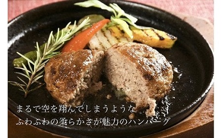 最高級佐賀牛合挽【空翔ぶハンバーグ】10個(ソース付):B335-007