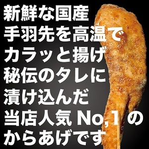 国産若鶏 手羽先唐揚げ 1.2kg：B235-009