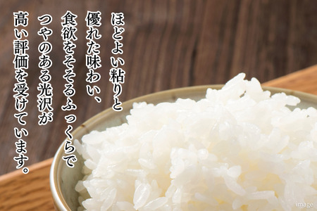 新米 令和7年 佐賀県産「夢しずく」10kg(5kg×2袋):B240-026