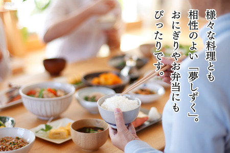 新米 令和7年 佐賀県産「夢しずく」10kg(5kg×2袋):B240-026