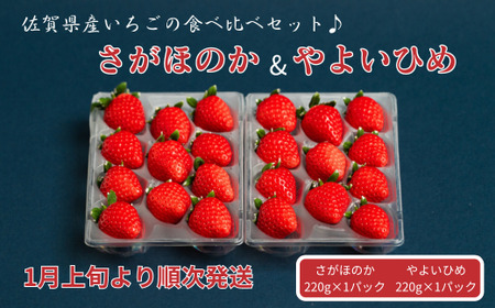 佐賀県産いちご さがほのか&やよいひめセット：B100-040 6,930円