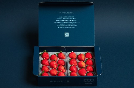 佐賀県産いちご いちごさん&やよいひめセット:B100-041