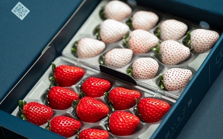 佐賀県産いちご やよいひめ&パールホワイト 紅白セット：B140-082