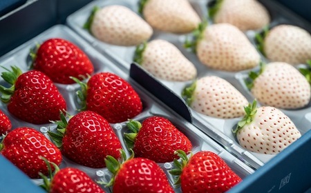 佐賀県産いちご いちごさん&パールホワイト 紅白セット：B140-083