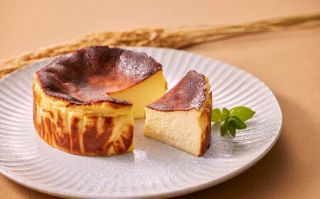 【定期便6回】バスクチーズケーキ6種食べ比べ：B525-004