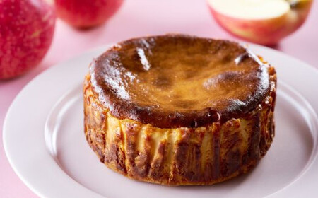 【定期便6回】バスクチーズケーキ6種食べ比べ：B525-004