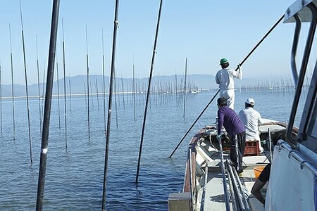 【お試しサイズ】初摘み佐賀 焼のり(8切28枚)×2袋 ※クロネコゆうパケット便利用:A065-002