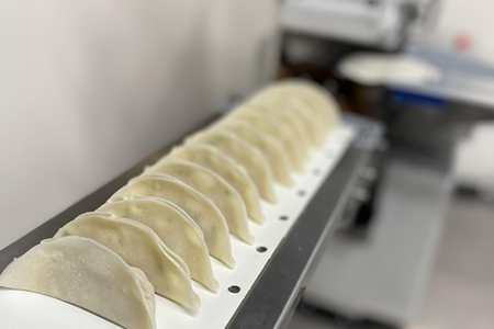 佐賀産「肥前さくらポーク」を100％使用した餃子5Pセット（合計90個） 国産 ぎょうざ 餃子 ギョーザ 冷凍餃子 冷凍ギョーザ 国産ブランド豚使用餃子：B220-032