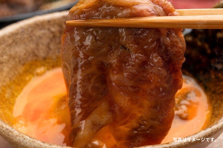 佐賀牛(A5ランクプレミアム) 赤身切り落とし 500g×2P(計1kg):B270-011