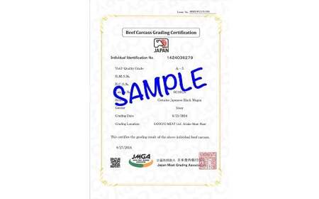 佐賀牛(A5ランクプレミアム) 赤身切り落とし 500g×2P(計1kg):B270-011