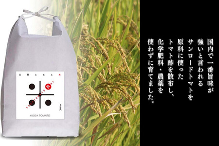 【新米】令和7年産 トマト酢を使って育てた「つや姫」 白米4.5kg：B200-070