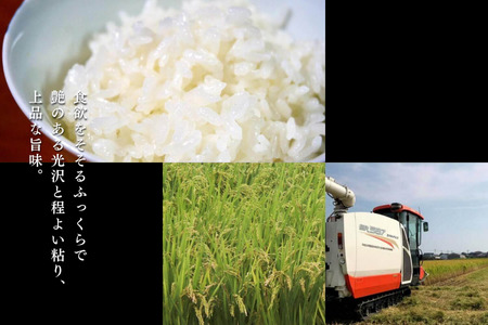 【新米】令和7年産 トマト酢を使って育てた「つや姫」 玄米10kg：B365-007