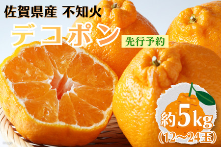 デコポン 【先行予約】佐賀みかん デコポン不知火 B195-006