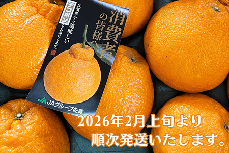 デコポン 【先行予約】佐賀みかん デコポン不知火 B195-006