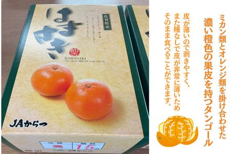 【先行予約】佐賀みかん 唐津産【はまさき】麗紅みかん 佐賀県 佐賀市 さがみかん ブランドみかん タンゴール 種なし 佐賀みかん 化粧箱入り 贈答 贈り物 お歳暮 フルーツ 果物 柑橘 ダイニング佐賀:B210-021