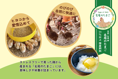 【定期便24回】 国産飼料の平飼い有精卵「名尾のたまご」30個入 たまご 卵 玉子 タマゴ 生卵 新鮮 目玉焼き ゆでたまご 卵焼き:C291-002