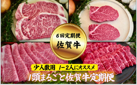 【定期便6回】【少人数用】1頭まるごと佐賀牛定期便：B870-003