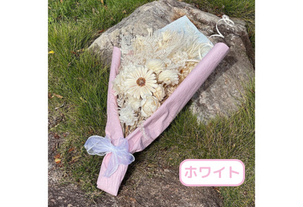 選べるお色ドライフラワーカラーブーケ Lサイズ：B570-004