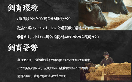 【定期便3回】【牧場直送】1頭まるごと佐賀牛焼肉定期便:B500-014