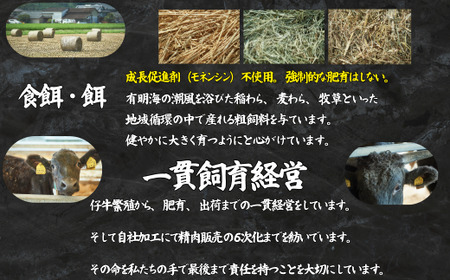 【定期便3回】【牧場直送】1頭まるごと佐賀牛焼肉定期便:B500-014