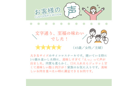 【定期便12回】佐賀牛サイコロステーキ 600g(150g×4P):C232-026