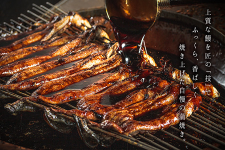 「本庄うなぎ屋」の国産鰻の蒲焼 2尾（2～3人前）：B335-018