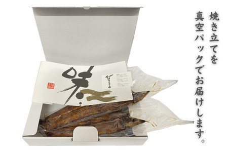 「本庄うなぎ屋」の国産鰻の蒲焼 2尾（2～3人前）：B335-018