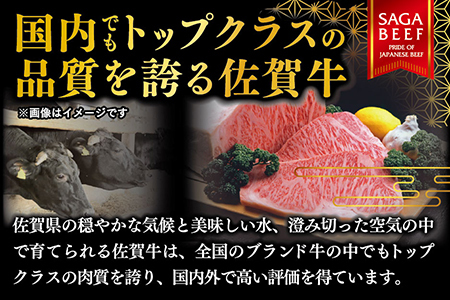 YAMATO 佐賀牛100％ハンバーグ 150g×3個：B115-027