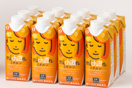 果汁100%!チルスムージー ミチルン 330ml×12本 フルーツジュース 佐賀みかん パインアップル:B110-050