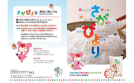 【令和7年産】白米 さがびより 白米 5kg：B170-023