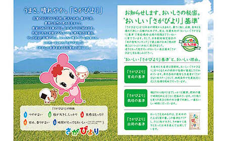 【令和7年産】白米 さがびより 白米 5kg：B170-023