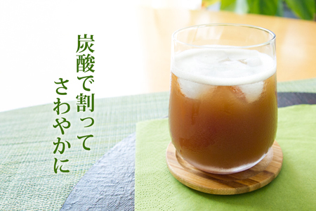 簡単割るだけ!和のチャイシロップ2本セット:B140-090