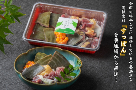 【スープ付き】栄養満点「いとやますっぽん」の鍋セット 300g 佐賀県産 スッポン 冷凍 鍋 カット済み 国産 簡単調理 美容 健康 コラーゲン 九州 佐賀県 佐賀市 ヤマト水産：B240-022