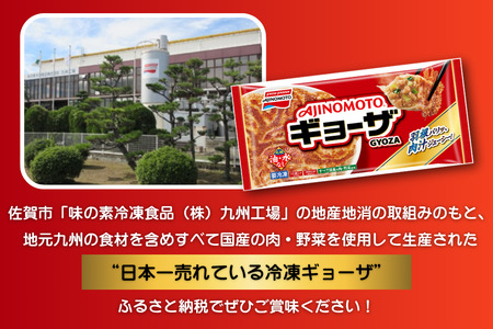冷凍餃子 【味の素】 20袋(240個) ぎょうざ 餃子 ギョーザ