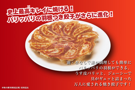 AJINOMOTO冷凍ギョーザ 計120個 ギョーザ 10袋