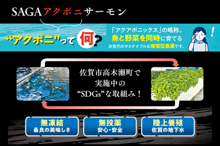 佐賀から未来へ！SAGAアクポニサーモン 300g SDGs トラウトサーモン アクアポニックス 国産 陸上養殖 SDGs：B150-059