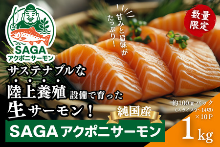 佐賀から未来へ！SAGAアクポニサーモン 1kg 100g×10P トラウトサーモン 国産 佐賀産 アクアポニックス：B400-007
