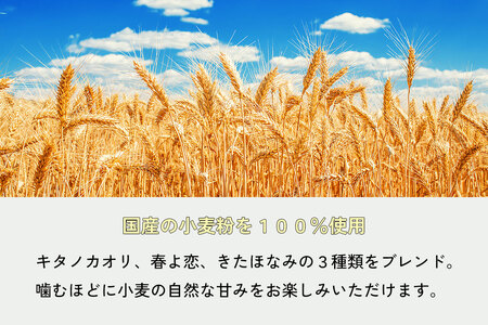 ベーグル おまかせ詰め合わせ 10個 手作りベーグル もちもち:B150-054