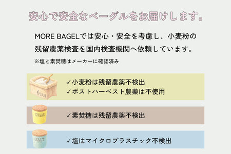 ベーグル おまかせ詰め合わせ 10個 手作りベーグル もちもち:B150-054