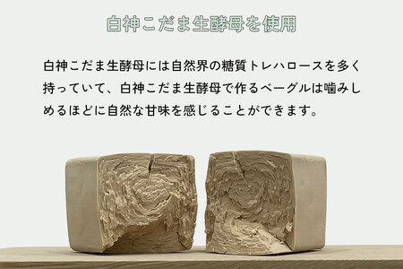 ベーグル おまかせ詰め合わせ 10個 手作りベーグル もちもち:B150-054