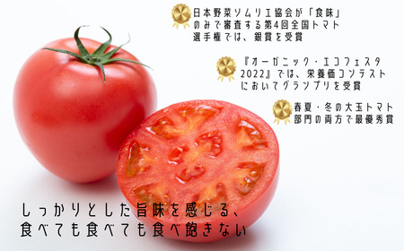 【期間限定】栄養価コンテストでグランプリを受賞した「古賀とまと」 3月～5月発送 トマト 野菜 産地直送 佐賀県 佐賀市：B290-008