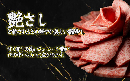 佐賀牛 赤身 すきやき用 500g:B130-051