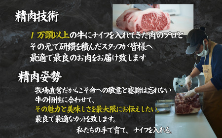 佐賀牛 赤身ステーキ 450g:B150-066