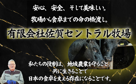 佐賀牛 赤身ステーキ 450g:B150-066