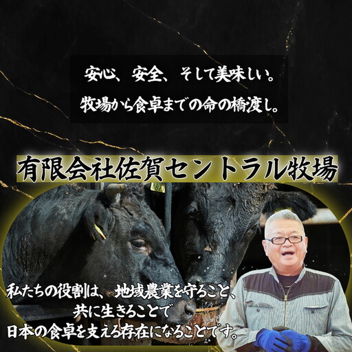 佐賀牛 赤身ステーキ 900g：B300-016