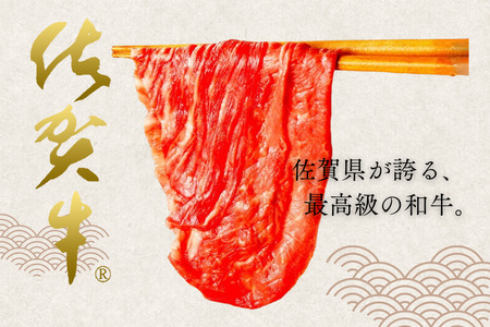 佐賀牛 訳ありヒレステーキ サイコロ 佐賀牛 200g B100-058 霜降り