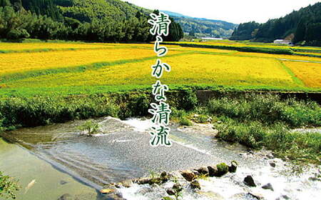 【新米】令和7年産 佐賀市三瀬村産「コシヒカリ」10kg(5kg×2袋):B335-020