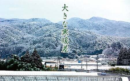 【新米】令和7年産 佐賀市三瀬村産「コシヒカリ」10kg(5kg×2袋):B335-020